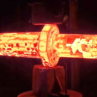 Roller Forging 304 Stainless Steel Alloy Steel CNC Precision Machine 310